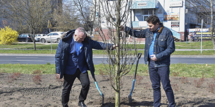 Stalowa Wola: Dziś ruszają 15. Zdarzenia Teatralne