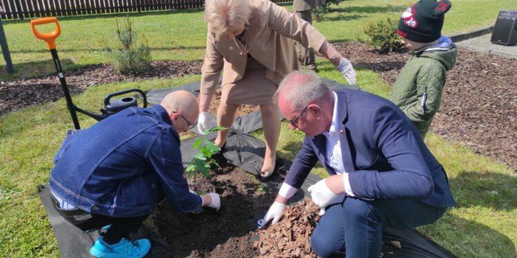 Zaleszany: Czy negocjacje cenowe wyłonią wykonawcę budowy ronda?