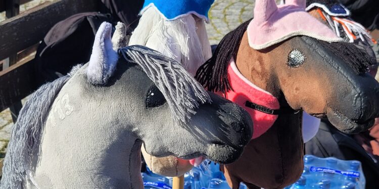 Sandomierz: Do kogo trafi hobby horse czyli koń kijowy?