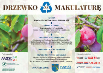 Stalowa Wola: Znów zostaną rozdane drzewka za makulaturę