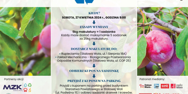 Stalowa Wola: Znów zostaną rozdane drzewka za makulaturę