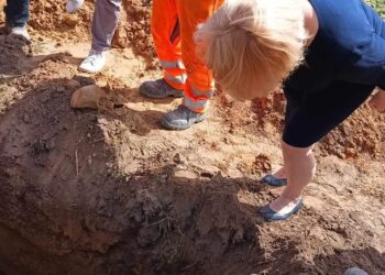 Zawichost: Archeologiczne odkrycie pochówku z czasów kultury amfor kulistych.