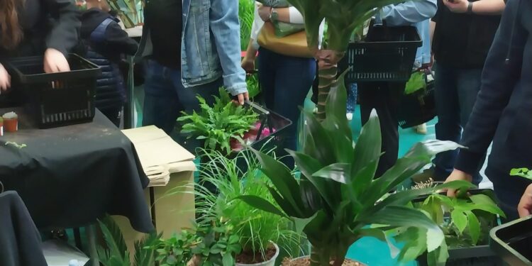 Tarnobrzeg: Tłumy na Festiwalu Roślin