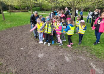 Tarnobrzeg. To wszystko dla pszczół