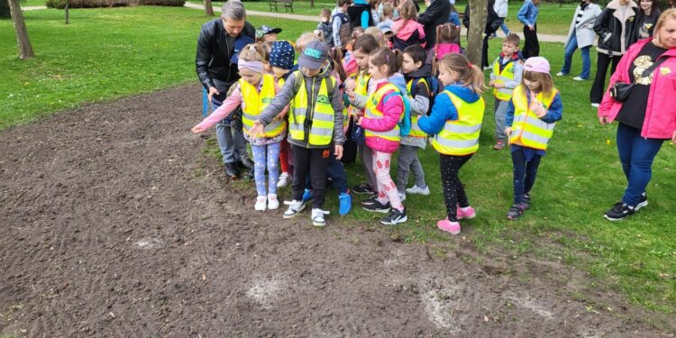 Tarnobrzeg. To wszystko dla pszczół