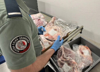 Region: W bagażu miał ponad 62 kg mięsa