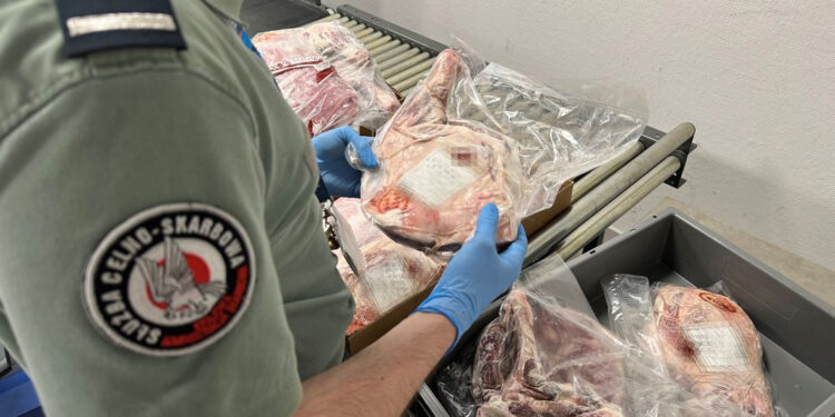 Region: W bagażu miał ponad 62 kg mięsa
