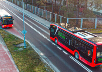 Stalowa Wola: Bezpłatna komunikacja miejska w dniu wyborów samorządowych