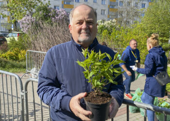 Stalowa Wola: Jubileuszowa akcja 'Drzewko za makulaturę’ podsumowana