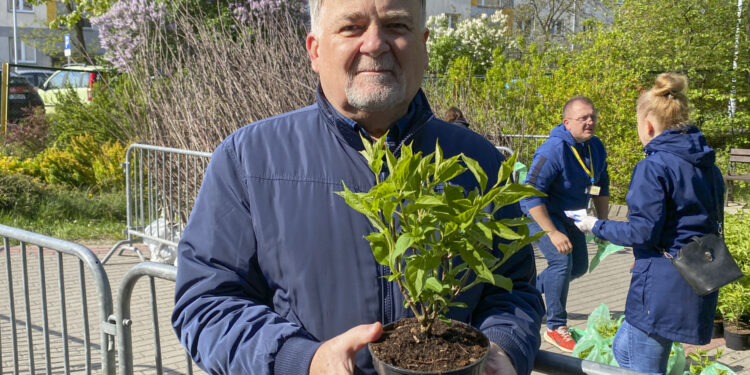 Stalowa Wola: Jubileuszowa akcja 'Drzewko za makulaturę’ podsumowana