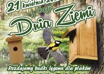 Tarnobrzeg: Rozdadzą ptasie budki