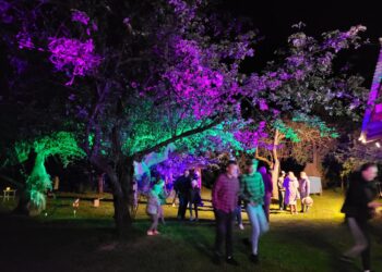 Dąbie koło Zawichostu: ‚Zanim zapieje kur’ – niezwykła noc w Parku Etnograficznym ‚Pod Kogutem’.