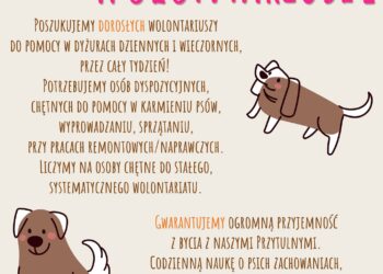 Sandomierz: Potrzebni wolontariusze w schronisku dla psów.