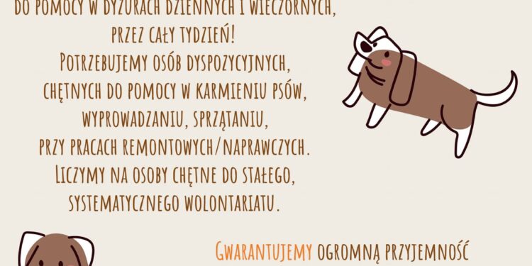 Sandomierz: Potrzebni wolontariusze w schronisku dla psów.
