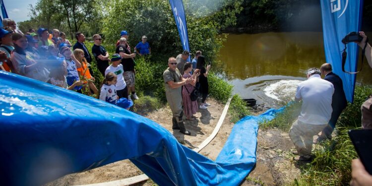 Połaniec. Zarybiali Wisłę