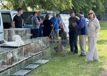 Sandomierz: „Mokoszyńska majówka” ściągnęła tłumy gości.