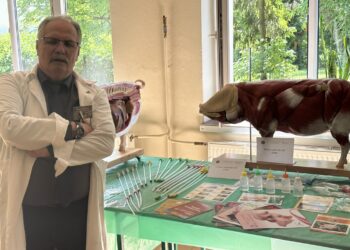 Sandomierz: Nauka elementów weterynarii w coraz lepszych warunkach.