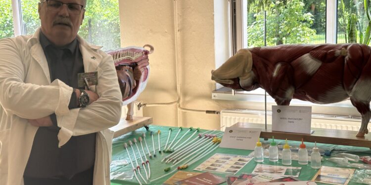 Sandomierz: Nauka elementów weterynarii w coraz lepszych warunkach.