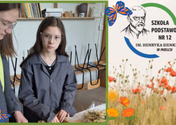 Mielec:  Szkoła Podstawowa nr 12  w konkursie  ekologicznym