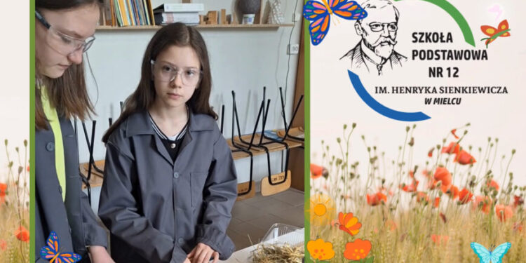 Mielec:  Szkoła Podstawowa nr 12  w konkursie  ekologicznym