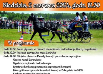 Radomyśl Wielki: Jubileuszowa Parada Konna