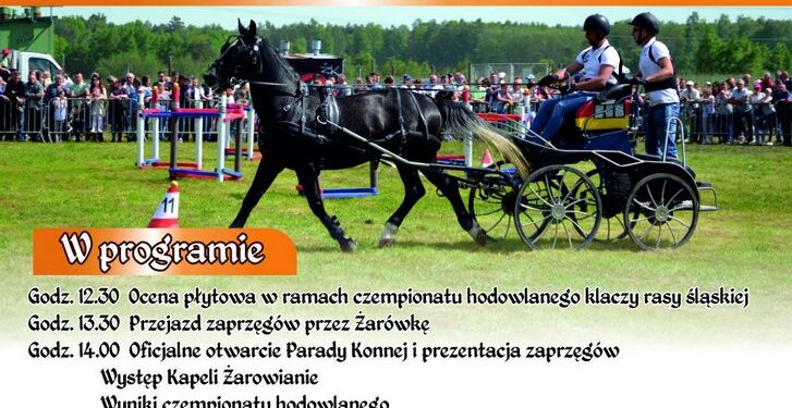Radomyśl Wielki: Jubileuszowa Parada Konna