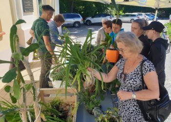 Tarnobrzeg: „Kwiatowymiana” się udała
