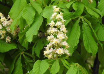 Tarnobrzeg: Matura 2024