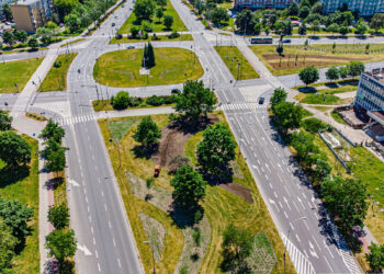 Stalowa Wola: Na pasie zieleni dzielącym Aleje przybywa drzew i krzewów