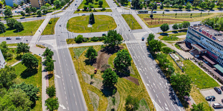 Stalowa Wola: Na pasie zieleni dzielącym Aleje przybywa drzew i krzewów