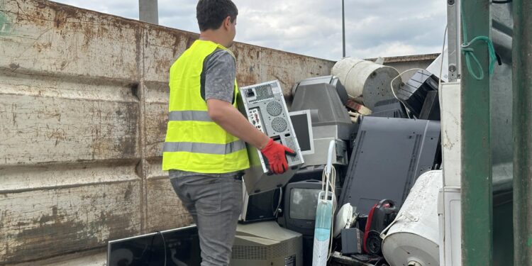 Sandomierz: Sadzonki za elektrośmieci.