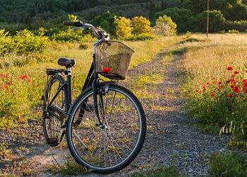 Tomasz Bucki – Stowarzyszenie „Chodźmy Na Rower”,  Łukasz Szatan – Nadleśnictwo Tuszyma