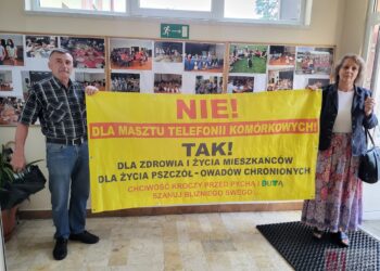 Gorzyce. Rozmawiali o lokalizacji masztów telefonii komórkowej