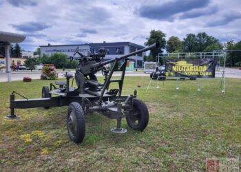 Nowa Dęba. Święto Lasu w nadleśnictwie