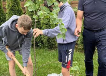 Wilczyce: Posadzili pamiątkowe lipy.