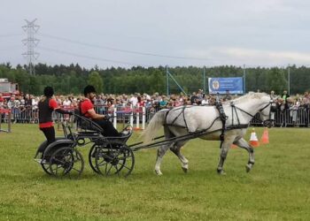 Radomyśl Wielki: Blanka czempionką