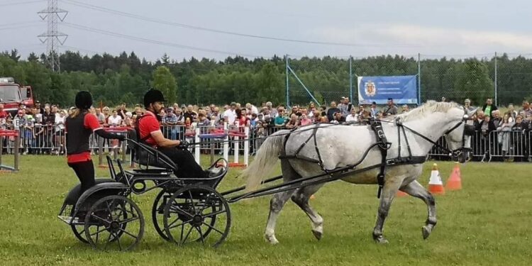 Radomyśl Wielki: Blanka czempionką