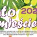 Tarnobrzeg: Wakacje! Rusza akcja „Lato w mieście ”