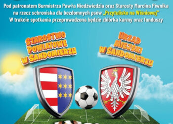 Sandomierz: Drużyna starosty kontra drużyna burmistrza w imię pomocy dla bezdomnych psów.