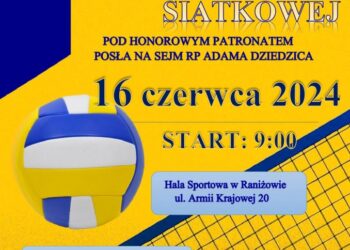 Kolbuszowa: VIII  Otwarty Turniej Piłki Siatkowej