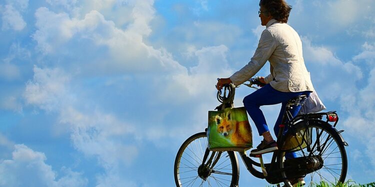 Tarnobrzeg: Uchwała w sprawie Budżetu Obywatelskiego