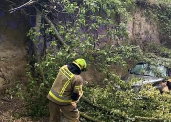 Sandomierz: Trwa usuwanie szkód wyrządzonych przez nawałnice.
