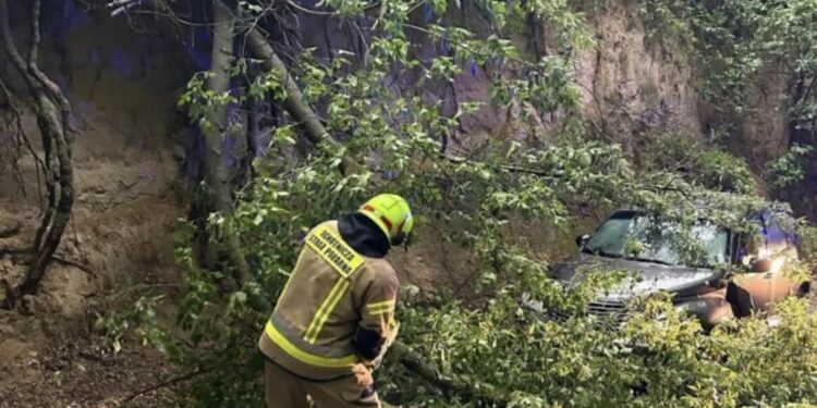 Sandomierz: Trwa usuwanie szkód wyrządzonych przez nawałnice.