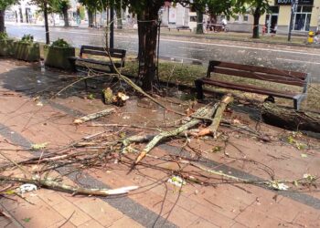 Mielec: Z pomocą dla poszkodowanych