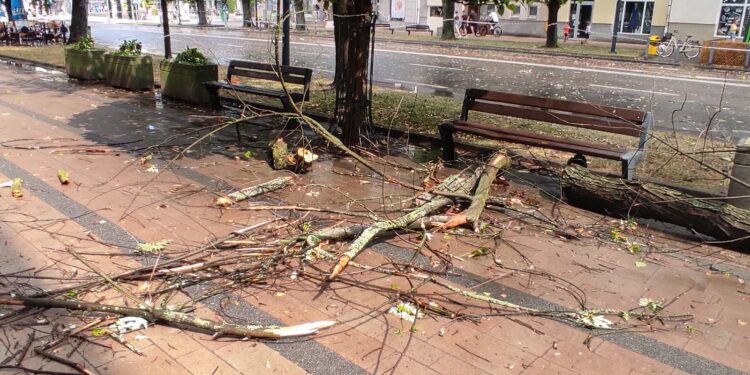 Mielec: Z pomocą dla poszkodowanych