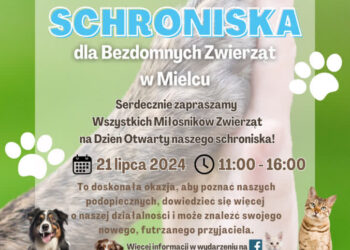 Mielec: Dzień Otwarty Schroniska dla bezdomnych zwierząt