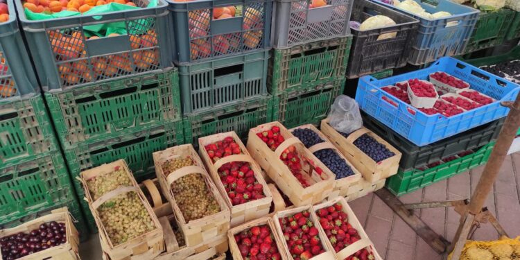 Mielec: Co słychać na mieleckiej hali targowej…