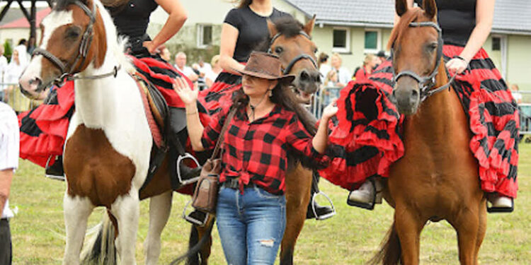 Furmany: Coraz większe zainteresowanie zlotem furmanek.