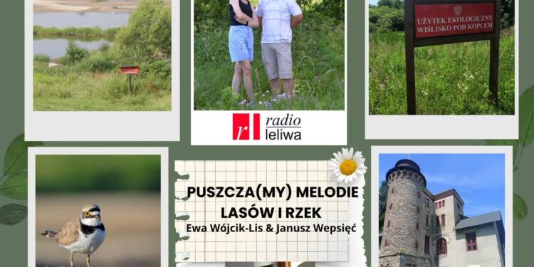 Tarnobrzeg: Rezerwat Przyrody „Dolina Smarkatej”. Perła Puszczy Sandomierskiej