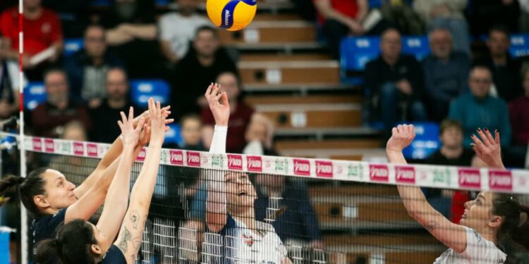 Mielec: Zmiany, roszady w ITA TOOLS Stal Mielec